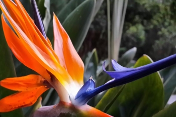 2014-04-30 17.50.59-1