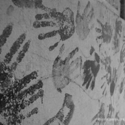 Serenata en Mi dormido Serenata en Mi dormido