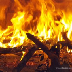 ¿Dónde está el amor bandido? ¿Dónde está el amor bandido?